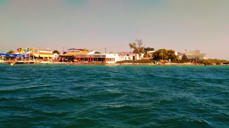 Passeios de barco na Ria Formosa e Observação de Golfinhos