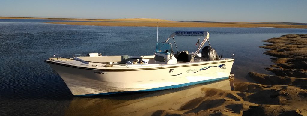 Boat tours along Ria Formosa in Faro