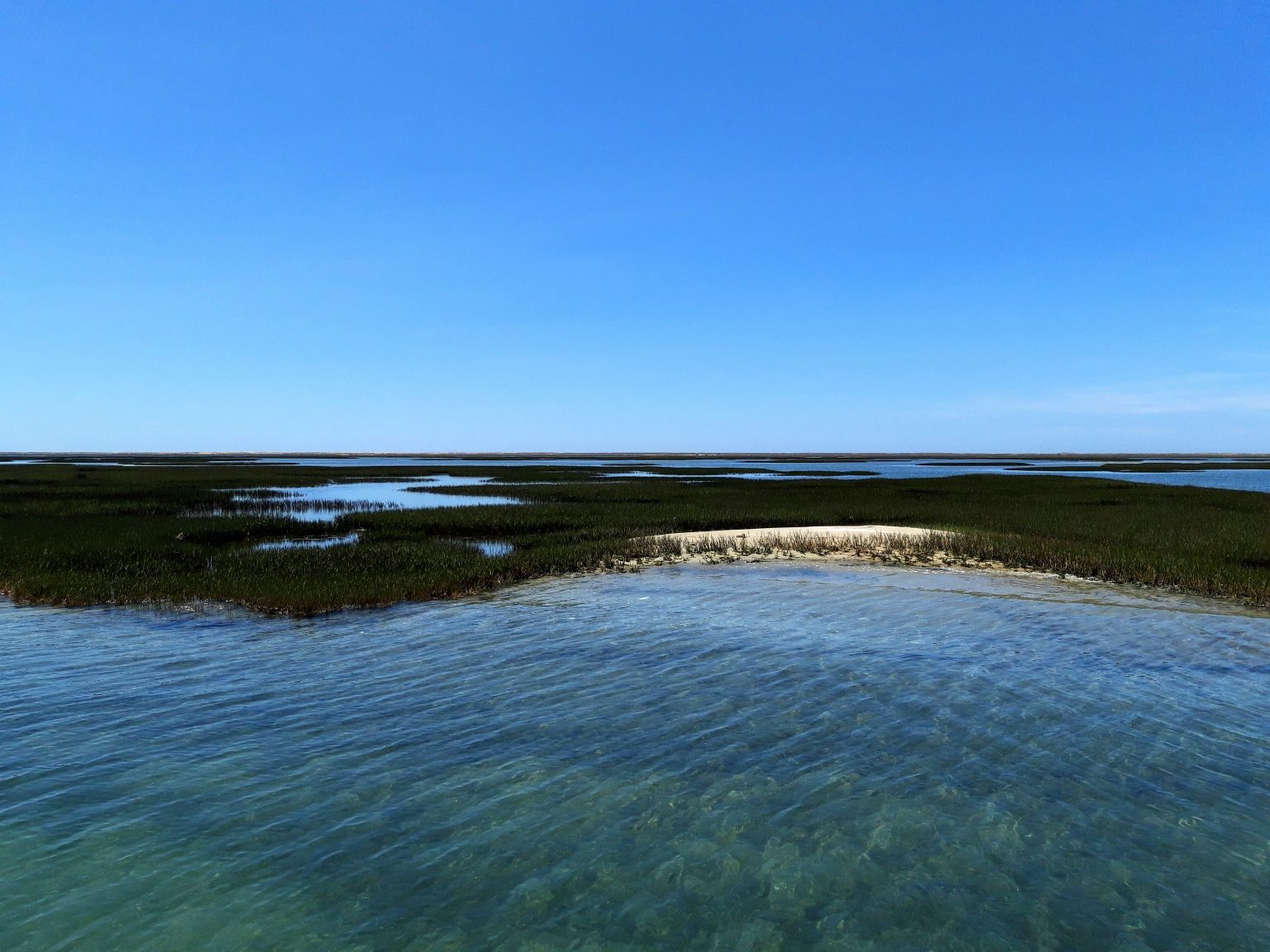 Ria Formosa - Ecomarine Algarve