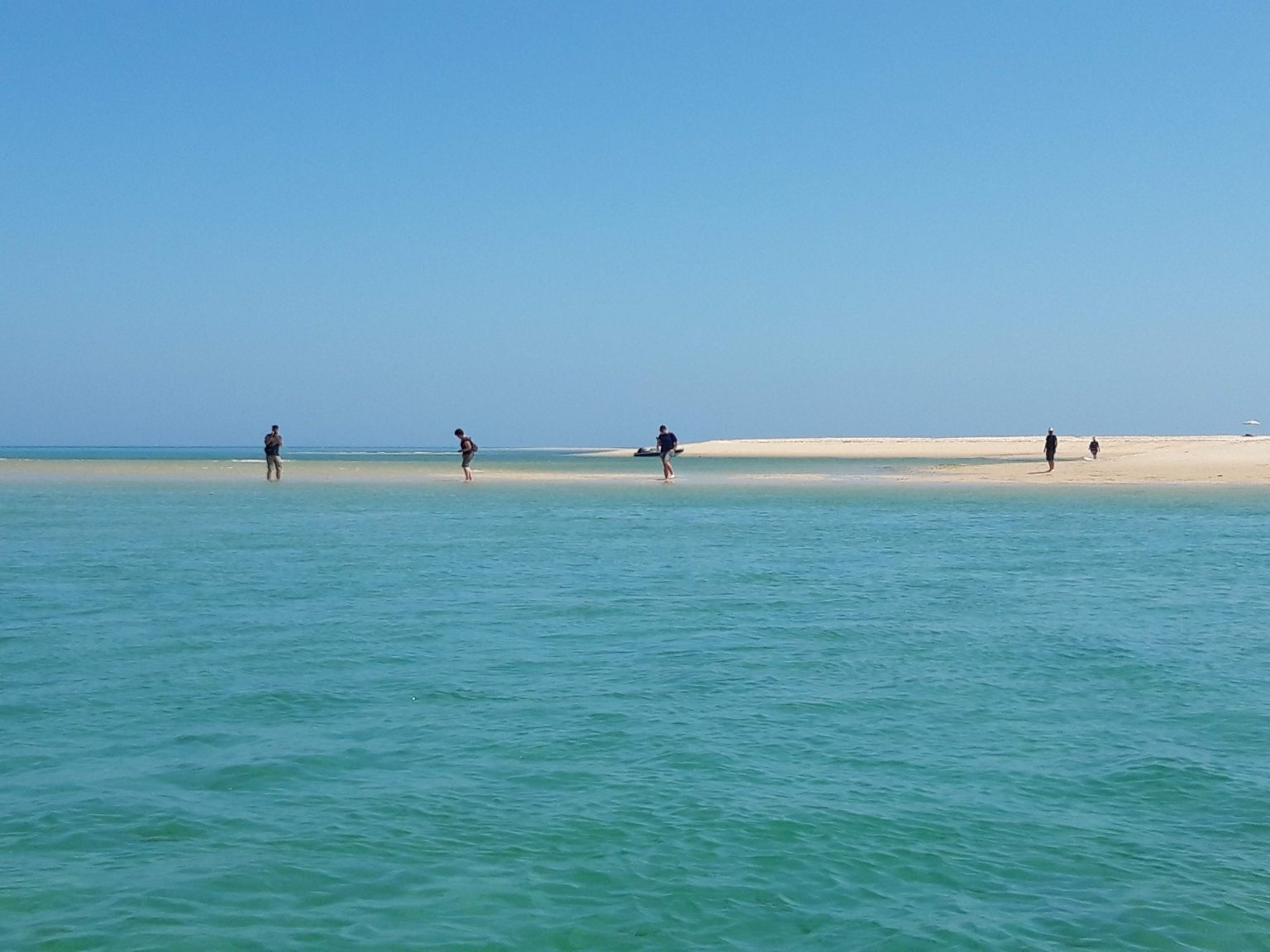 Ponta da Culatra beach - Ecomarine Algarve