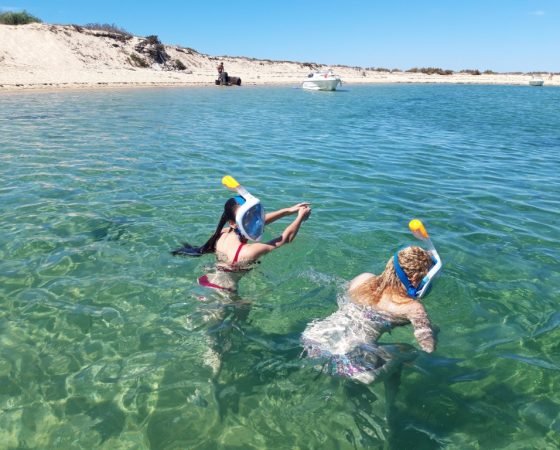 Snorkeling - Ecomarine Algarve