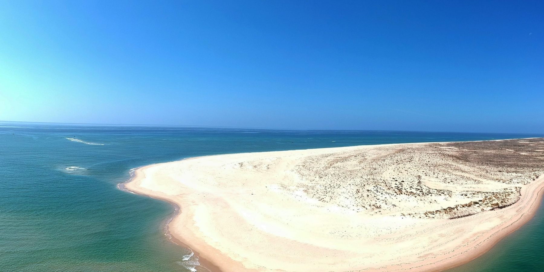 Boat Tours in Faro - Ria Formosa Natural Park