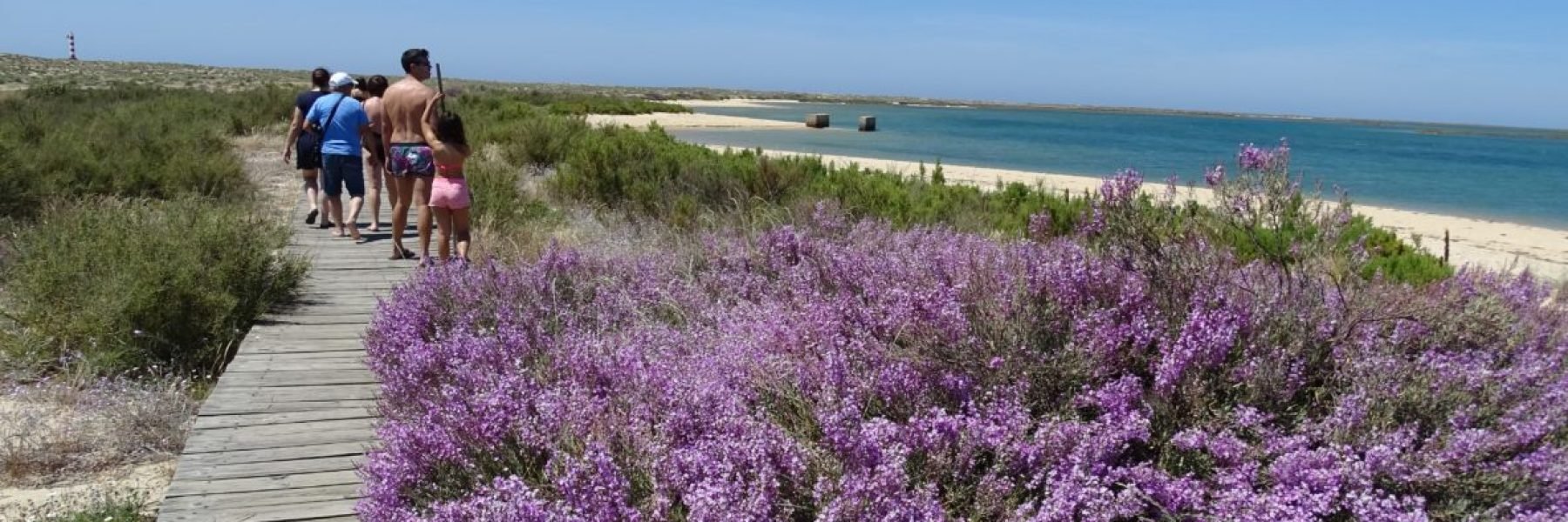 ilha Deserta