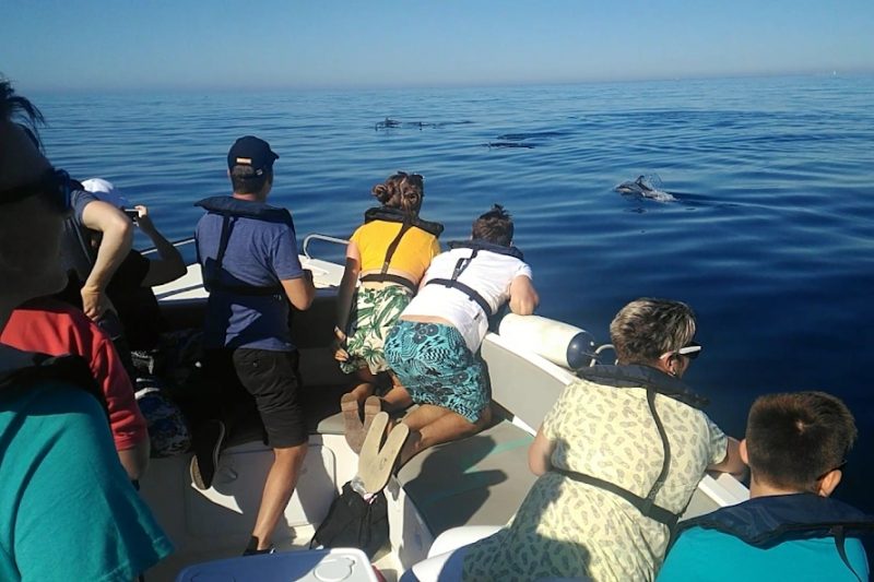 Boat tours in Faro