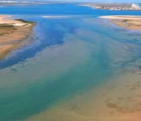 Boat tours in Faro - Birdwatching in Ria Formosa, Islands boat tours